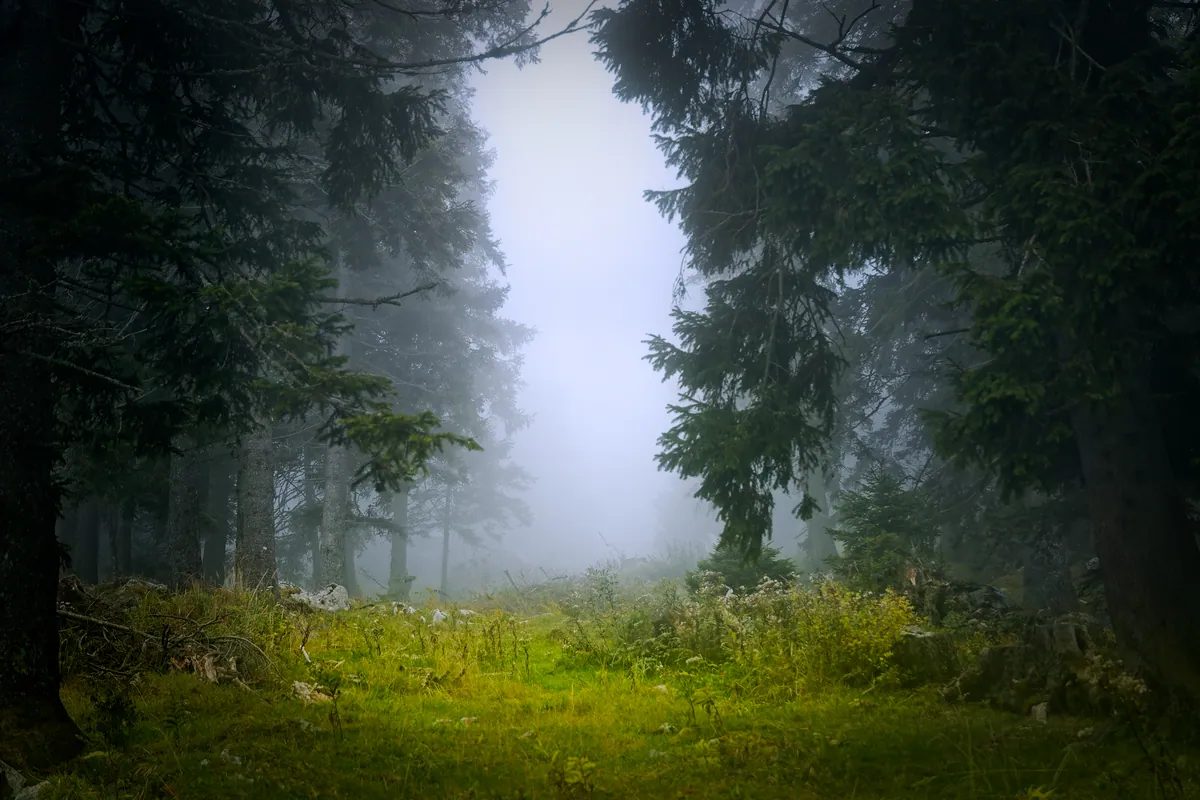 Sfeerbeeld van Steiermark – Waarom Steiermark in de herfst?